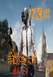 我真的是大神