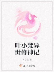 叶小梵异世修神记