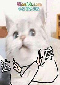 翻身仗 【先婚后爱 】