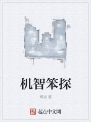 机智笨探