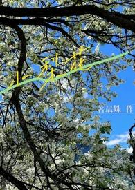 小梨花（校园h&amp;nbsp;&amp;nbsp;）