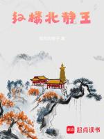 红楼北静王