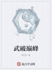 武破巅峰