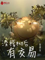滑稽树后有交易