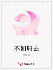 不如归去