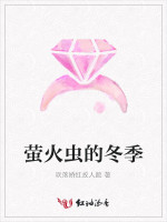 萤火虫的冬季