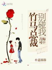 总裁，别碰我