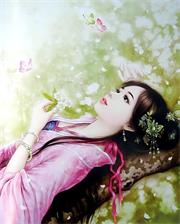 梅花灿