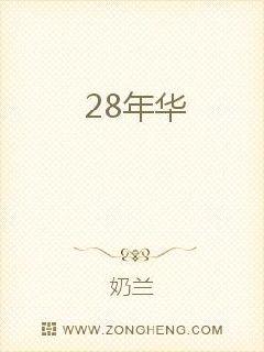 28年华