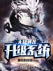 无敌神龙升级系统
