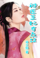 神医王妃有点狂