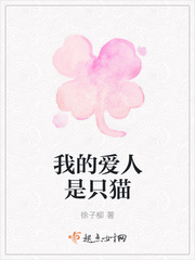 爱人是只猫