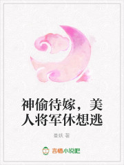 神偷待嫁，美人将军休想逃