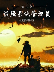 都市之最强系统管理员