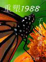 重塑1988