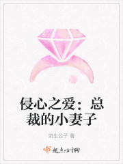 总裁的小妻子