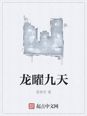 龙曜九天