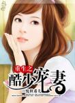 重生之酷少宠妻